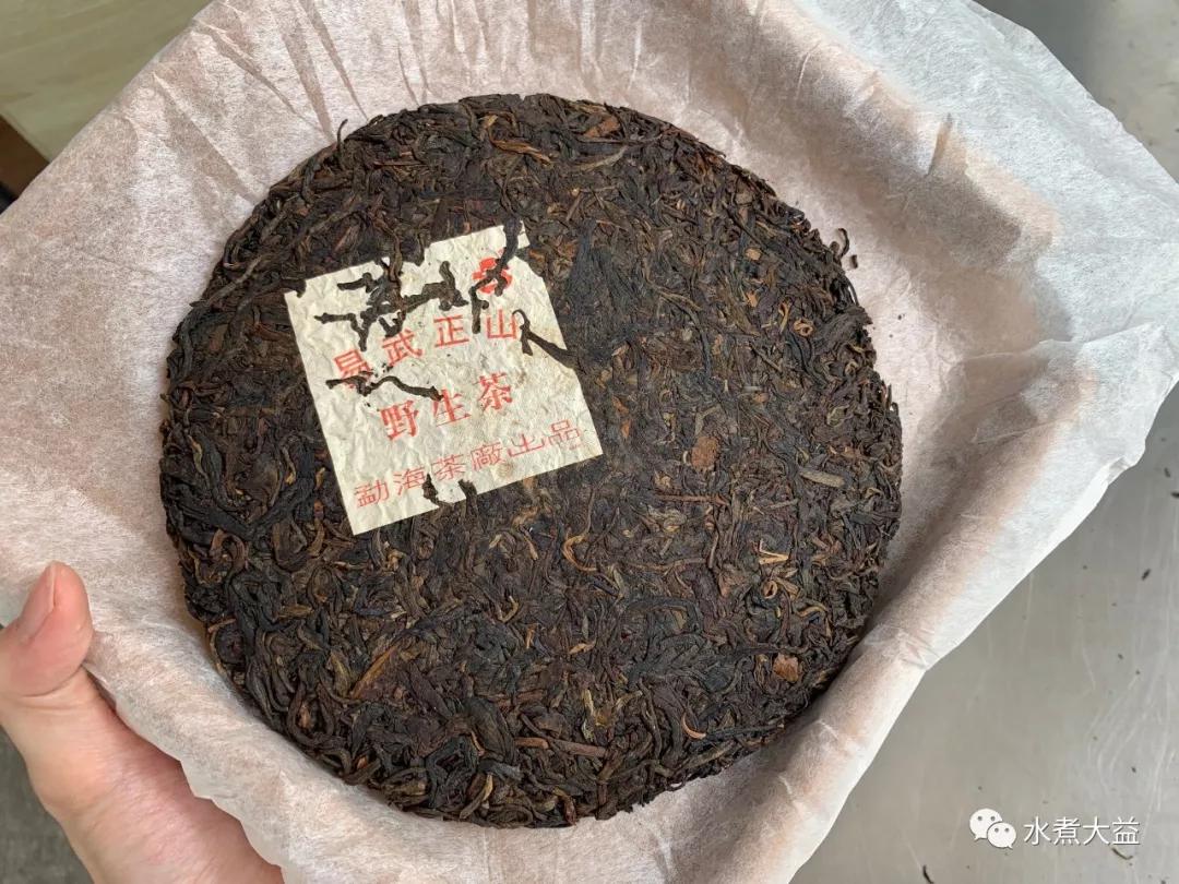大益中期茶108将之7:2003年 201 易武正山 绿大树灰绳