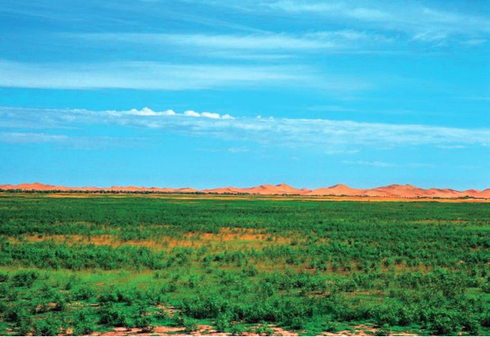 美丽中国先锋榜18内蒙古杭锦旗库布其沙漠治理创新实践