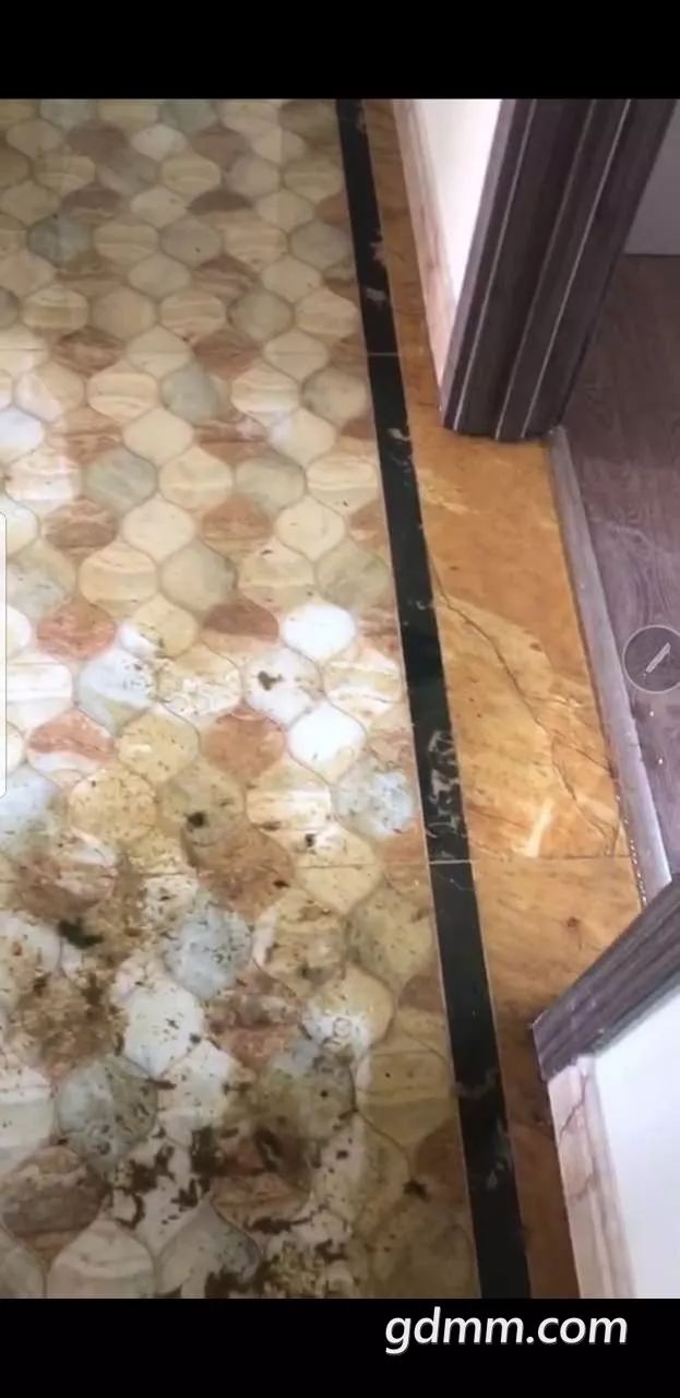 茂名网友报料一百多万的新房一夜变成了屎坑