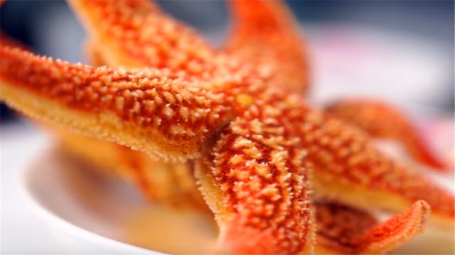 "魔鬼海星"不能吃,我们该如何对付这群"珊瑚杀手"?