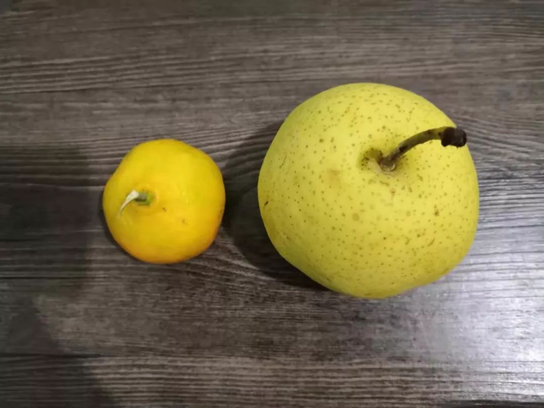 晚餐——刀切五香馒头,豆腐皮鲜肉卷,番茄炒西葫,金银粥