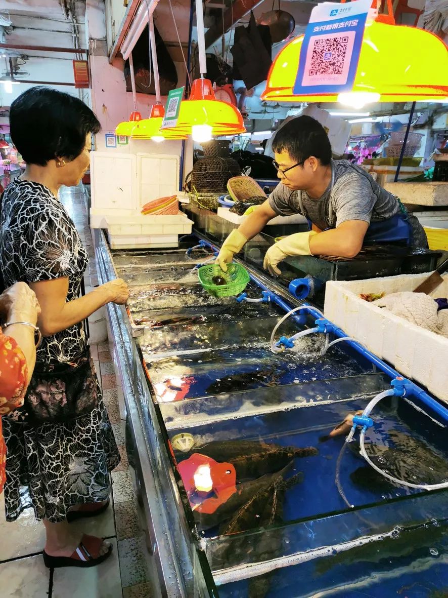 鹭江市场:海水冰鲜鱼售价略有下降 部分淡水鱼价格微涨早上8点40分