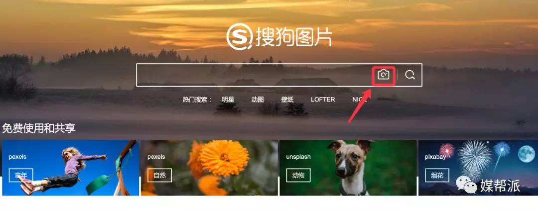 最全识图软件,还找不到资源我也没招了_识别
