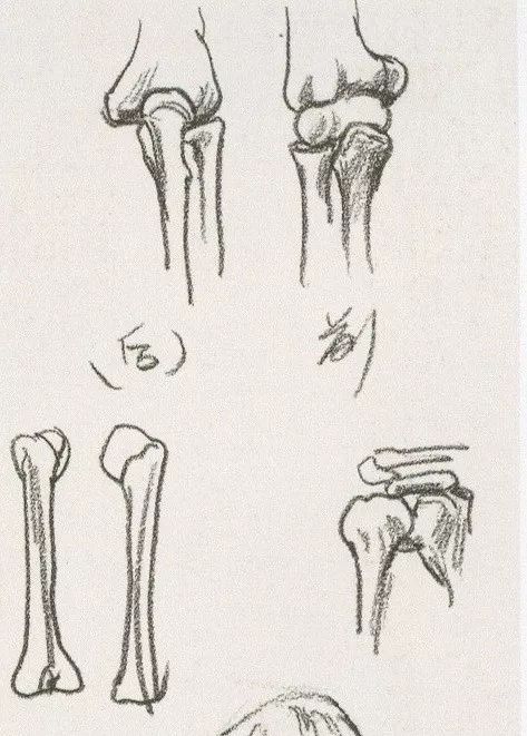 超强干货丨速写局部之上肢的刻画