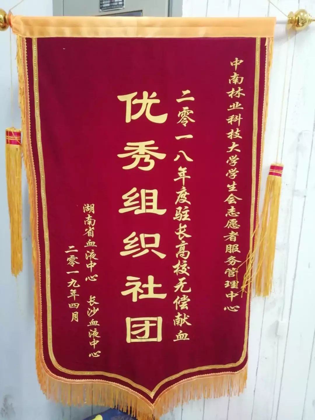 志愿者服务管理中心|不要标题,只要你_管君