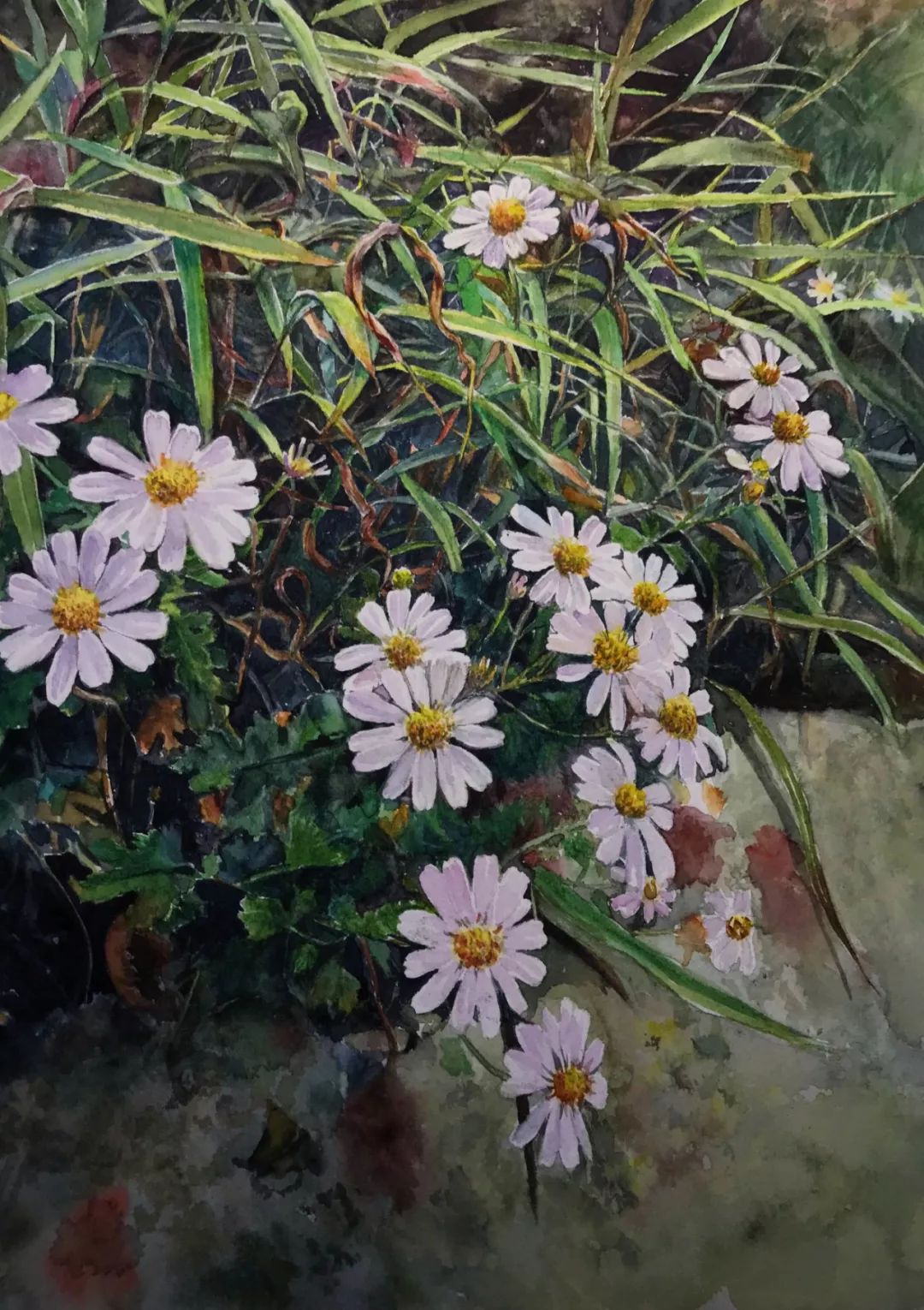 第3期第二届全国人民教师水彩粉画在线展入选作品第2期121幅