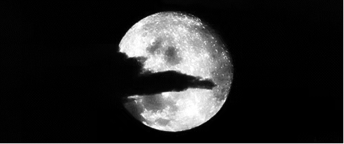 月亮搞笑动态图图片
