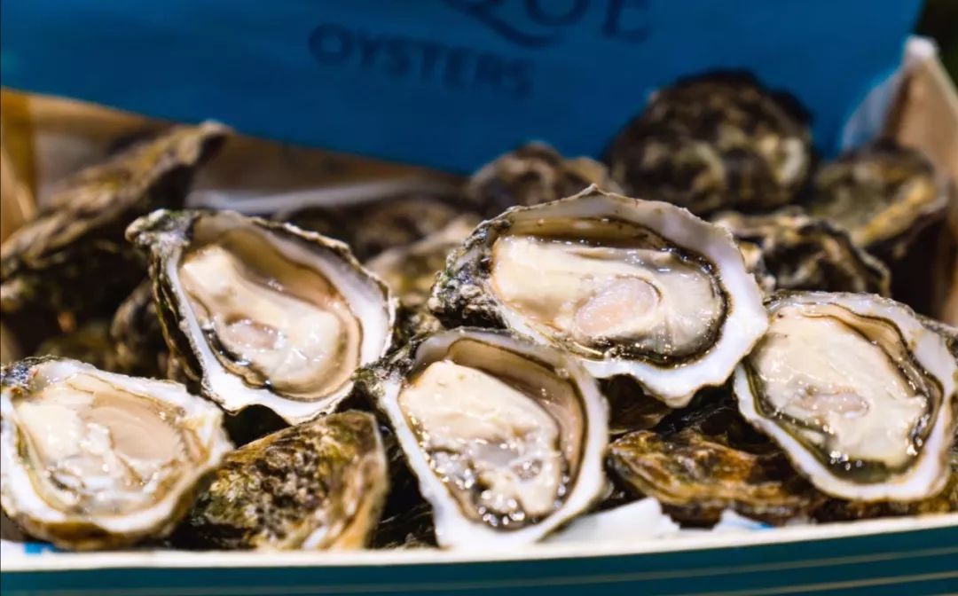2019爱尔兰国际生蚝节来了,承包你的味蕾!_高威