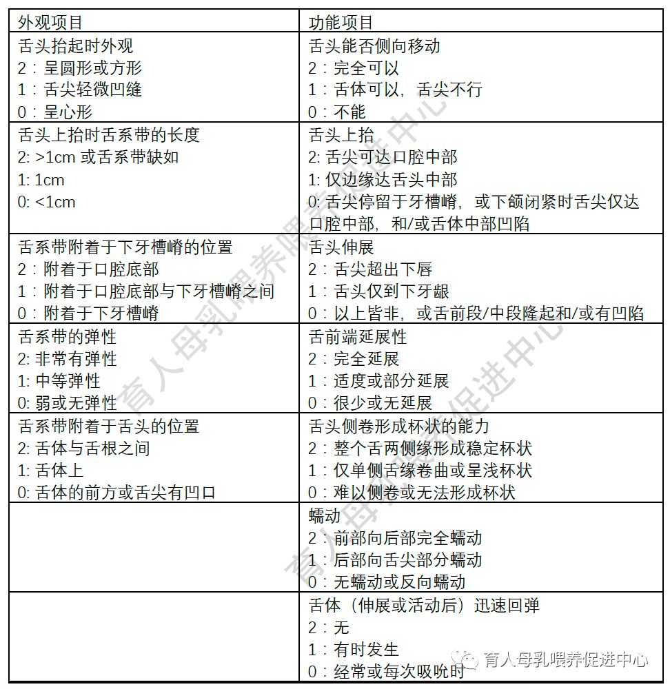 舌系带的评估，这些方法简单明了_Lingual