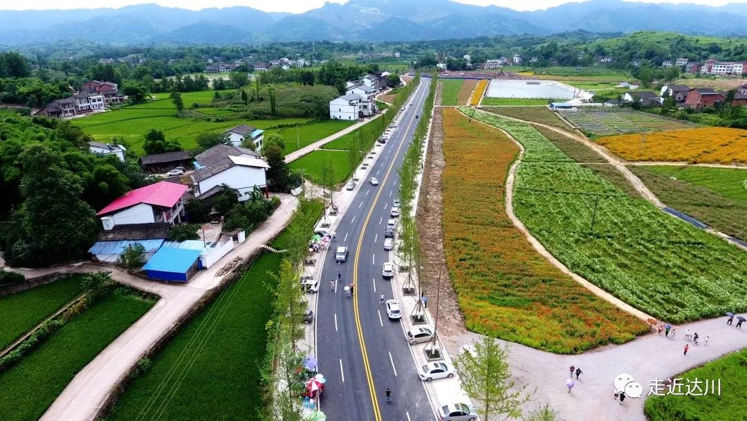 万家镇你怎么可以这么美