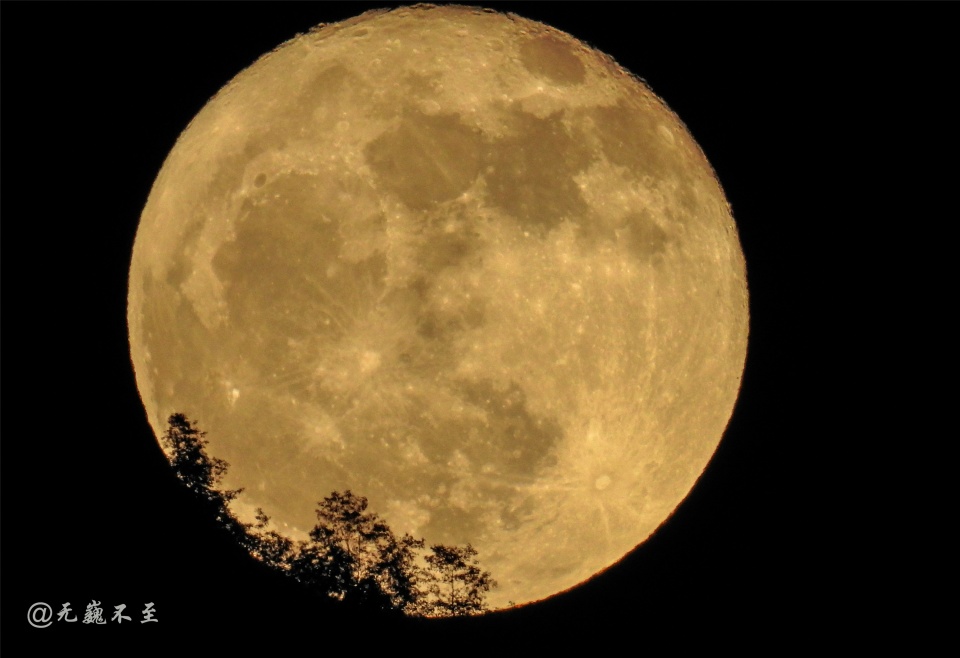 也是最有灵魂的,在古今文人骚客们的悲喜里,总是深情地藏着一轮明月