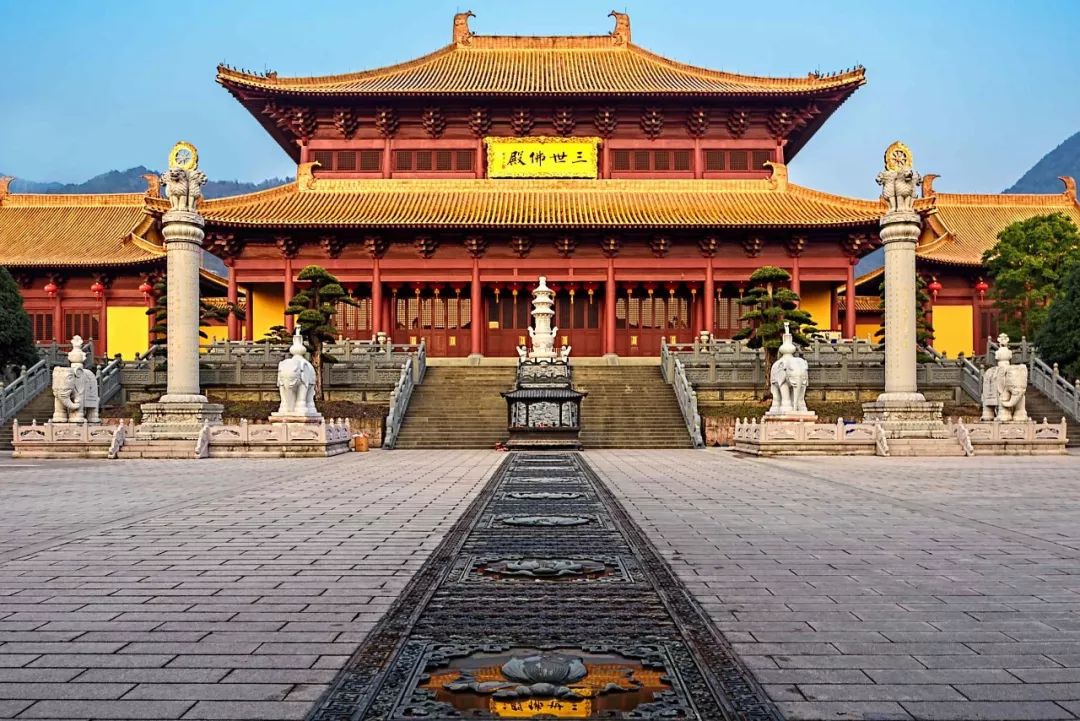 赏花,赏月,赏秋香,多样化玩法任你选!_金华山