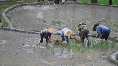 408_230gif 动态图 动图