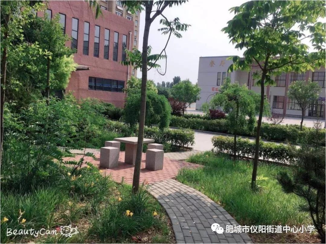 儀陽中心小學校園靜謐而純粹風景這邊獨好儀陽街道中心小學最美校園競