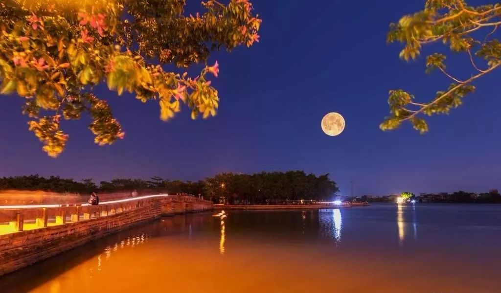 位于泰宁的大金湖地质公园,是一处以丹霞地貌景观为主体的风景区