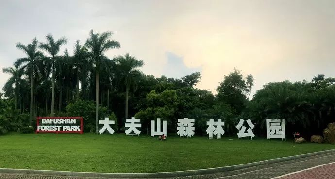 [美安旅]童趣溢中秋,大夫山森林有约