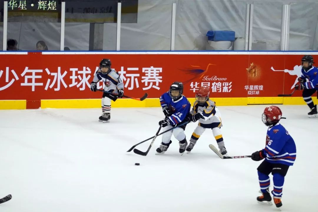 华星团圆杯开幕强队云集精彩不容错过