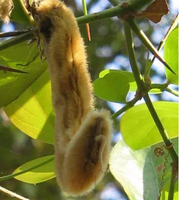 打开这篇文章我浑身都发痒了搞笑诺奖