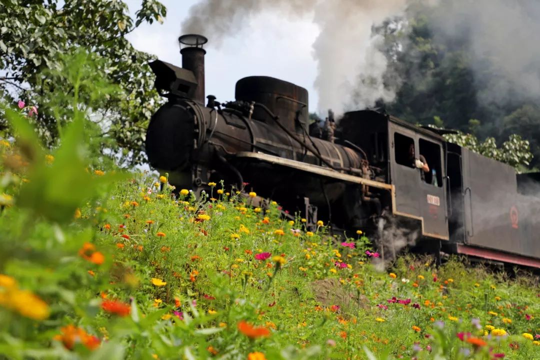 我在芭蕉沟等你!_犍为县