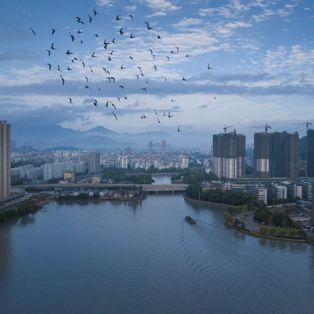 镜头下的瓯海美得让人窒息