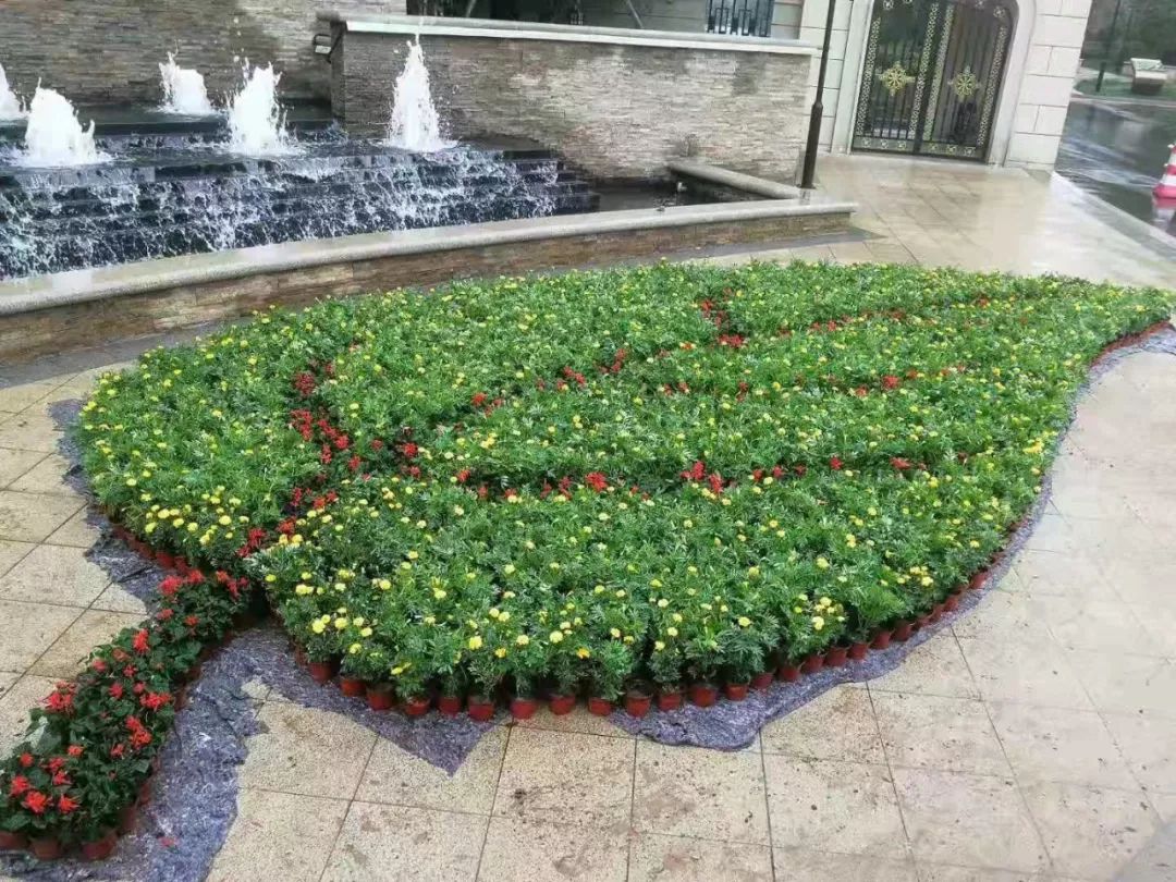 腾宇物业节前安全大检查紧绷节日安全弦