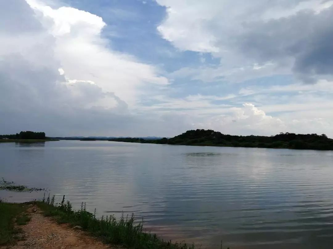 老刘今年60岁,是岩汪湖平安村人,每天早上天刚亮,老刘就骑着单车来到