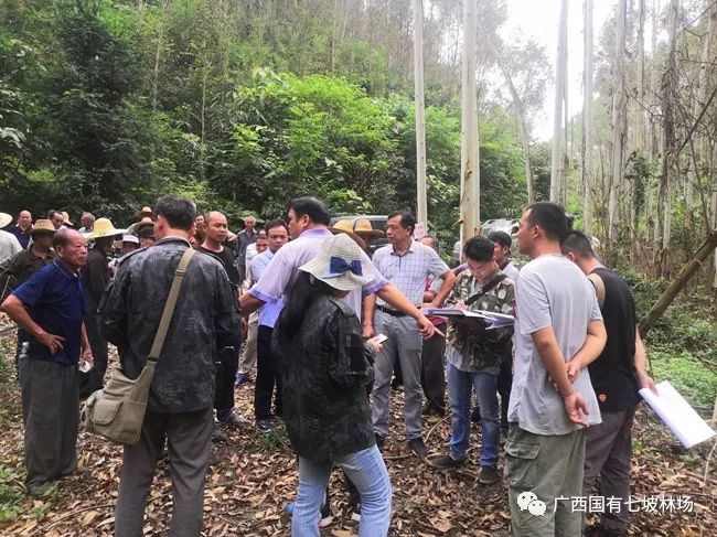 积极筹建林场执法队伍,严控林木采伐指标,加大林木采伐过程监管,严厉