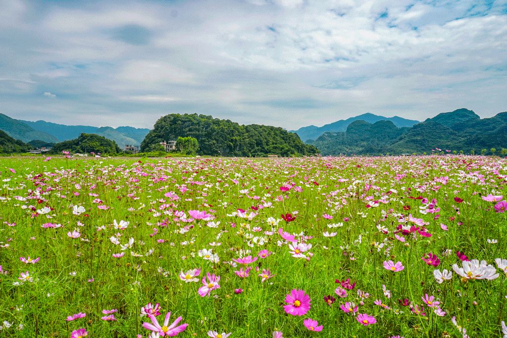 美不勝收中秋花好月圓夜來中國愛情小鎮打卡夢幻五彩花海赴一場獨一無