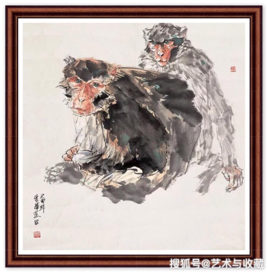 种草省钱菌