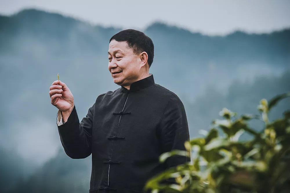 作为黄山毛峰制茶技艺的权威,谢四十没有随波逐流紧跟市场.