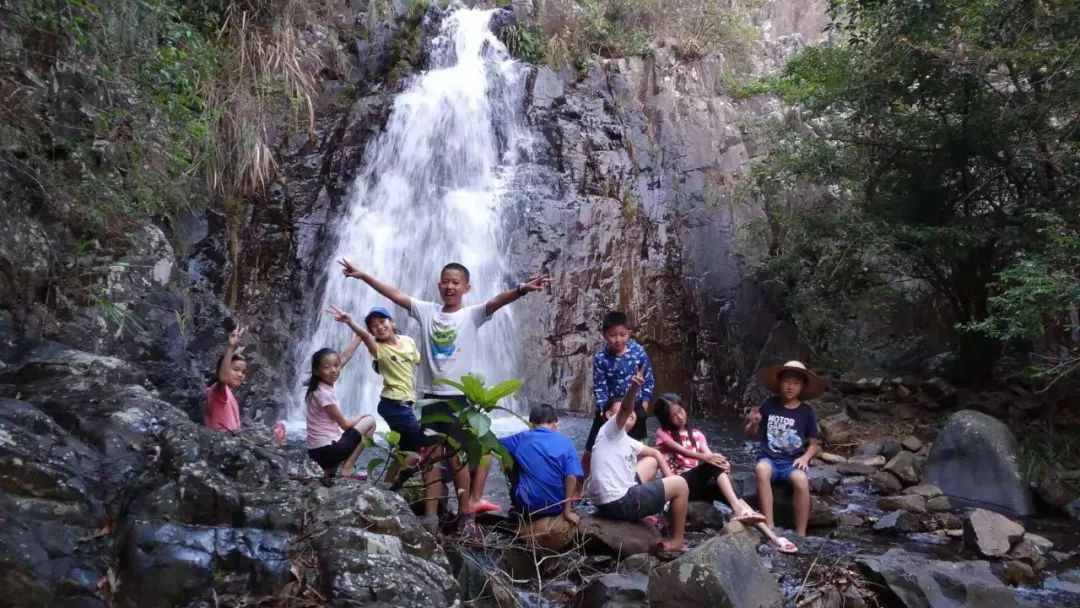 9:30—11:00木工坊:观鸟丨辩听鸟的声音丨制作鸟笛