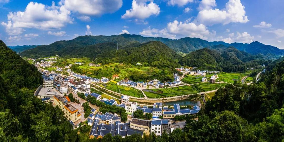 祥和上举镇警民一家亲