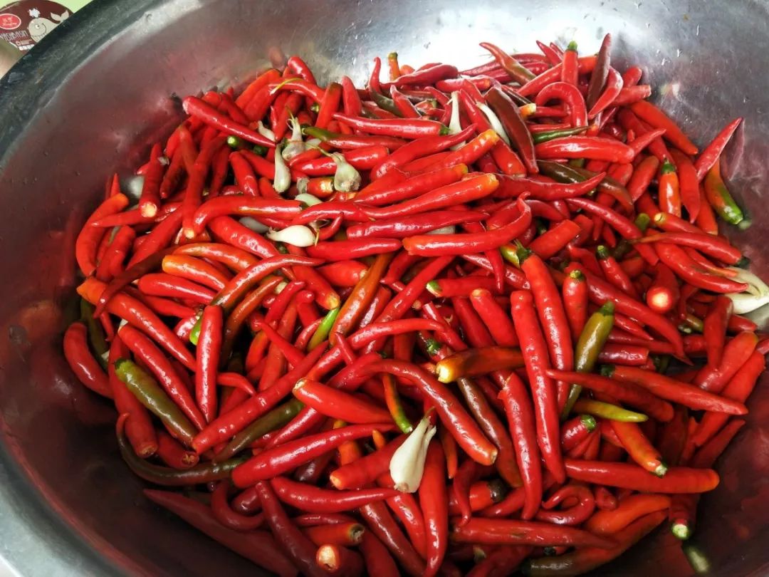 砚山人的厨房必备品:酸辣椒,今年你家"剁"酸辣子了吗?_青菜