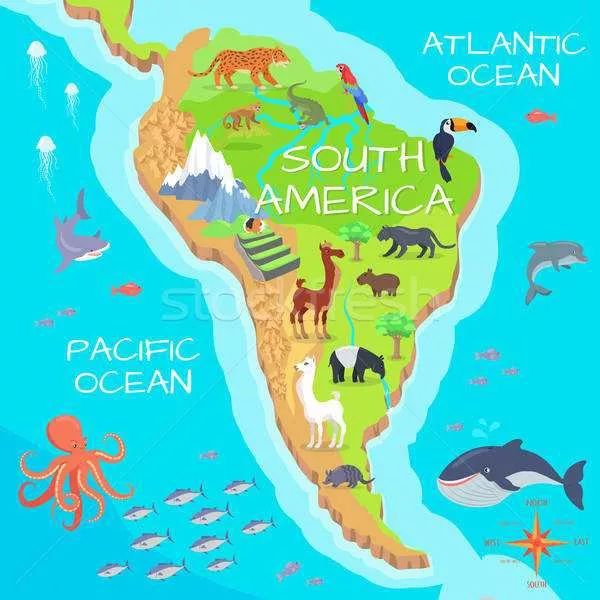 南美洲south america