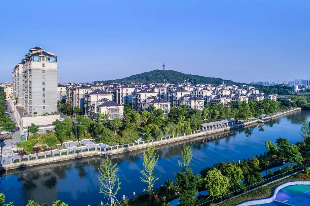 美翻海宁又来了个新晋网红打卡点每天10000多人