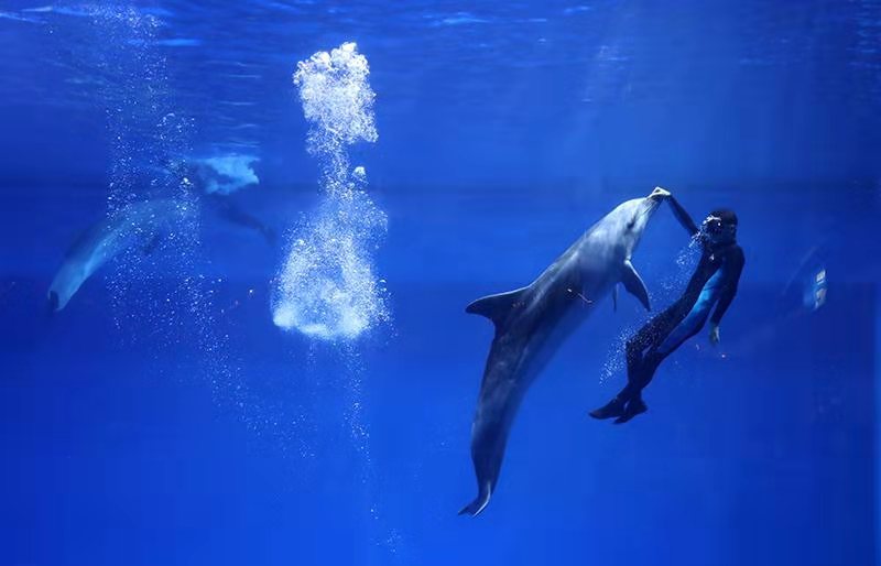 团圆中秋拥抱海洋免费吃月饼领年卡