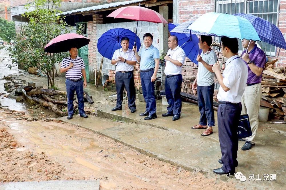 灵山【脱贫攻坚】刘钦到新圩调研指导脱贫攻坚工作