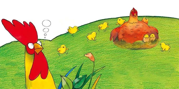 金龟子讲睡前故事公鸡妈妈