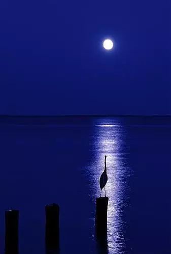 千江有水千江月万里无云万里天