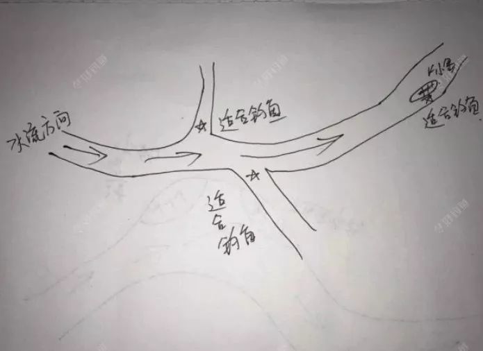 因为此处会有大量的食物沉淀,更能够吸引鱼儿聚集.