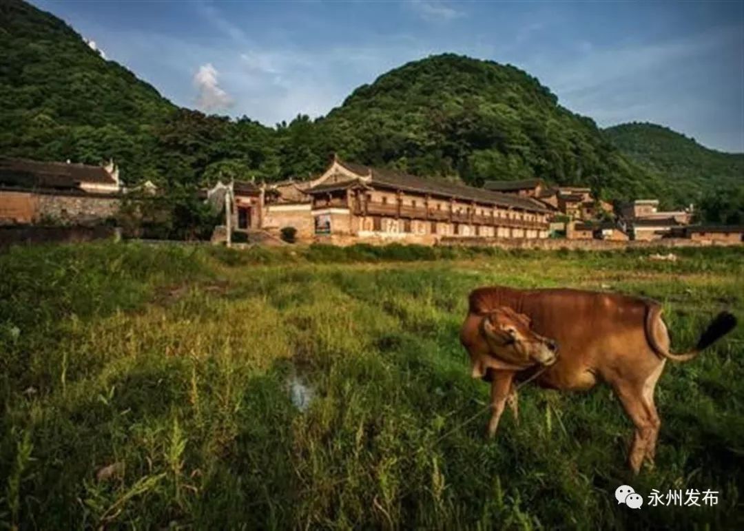 永州这座古村美如艺术宝库