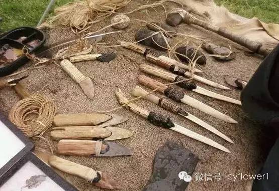 下荒野里求生的技巧也让小爱再次注意到了野外生存这个主题小李子获奖