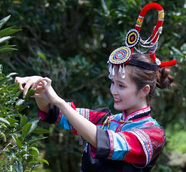 庆祝2019年中国农民丰收节潭江镇凤坪畲族村分会场活动圆满举行我台