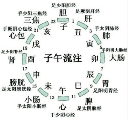 子午流注养生法