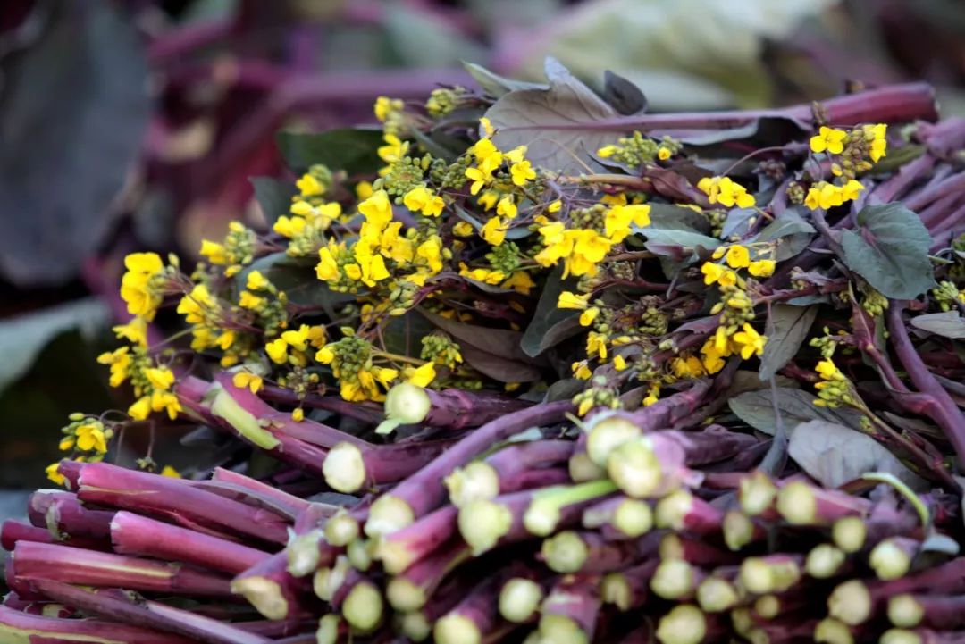 6万!全球最贵蔬菜排行榜出炉,吃过3个算你牛!