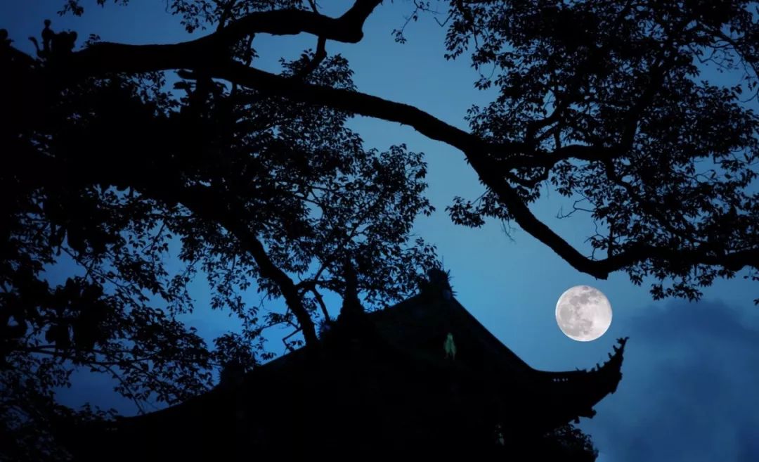 意境大片天台山高明寺的中秋月亮那么空那么净