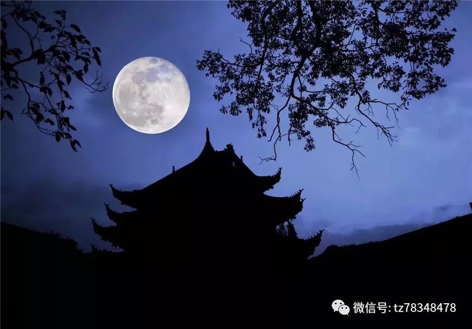 今日头条明月美景两相映天台各地欢度中秋佳节