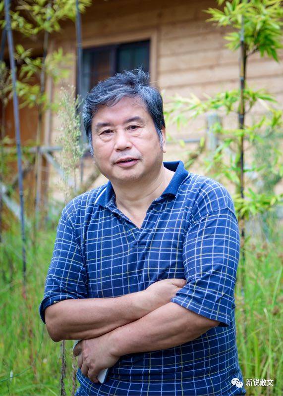 作家专栏韩永强海的那边是性情