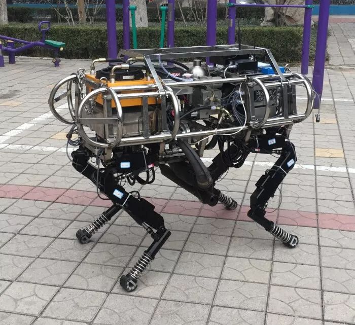 2万多带回家_机器人