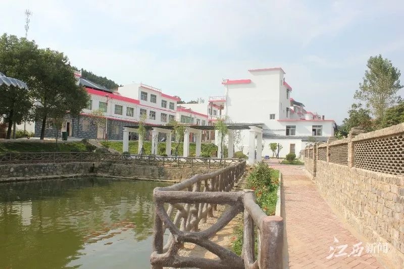 一村一画一首歌黄花镇暖风吹大地黄花分外香